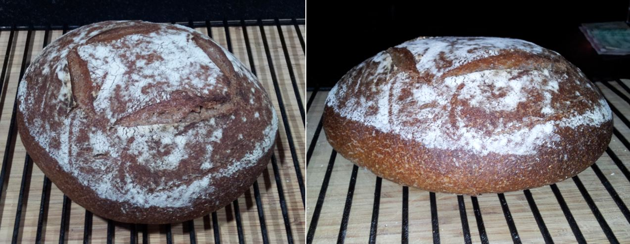 My First Miche