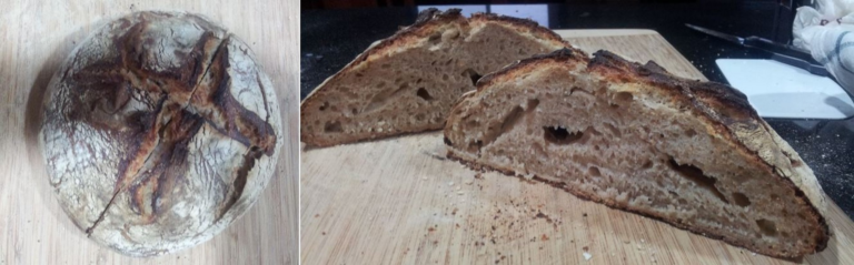 First Whole Wheat Sourdough